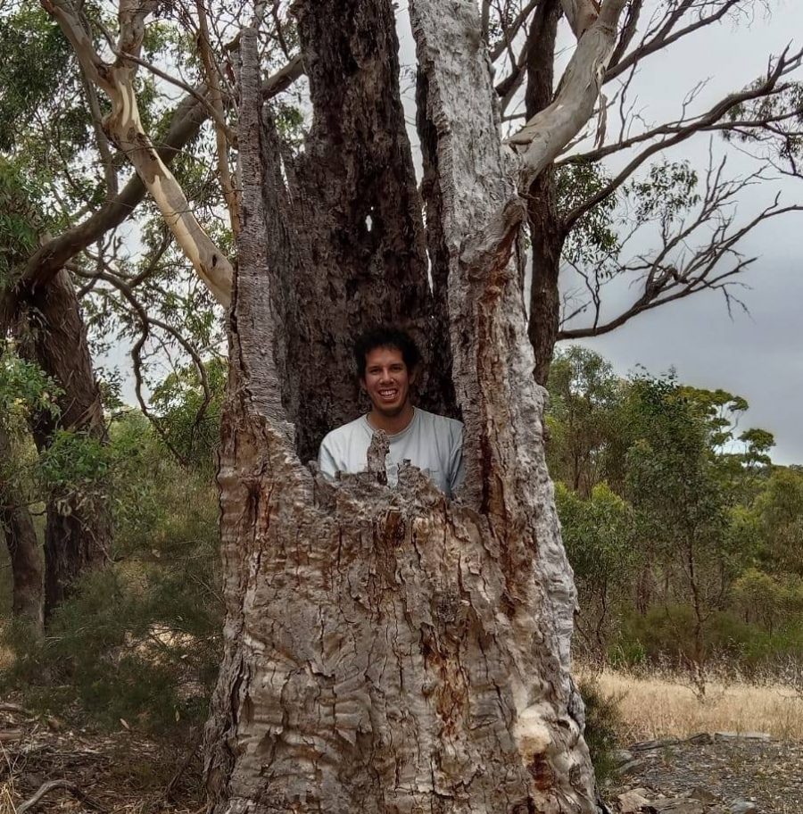 Meet The Team Diego Guevara Spatial Points